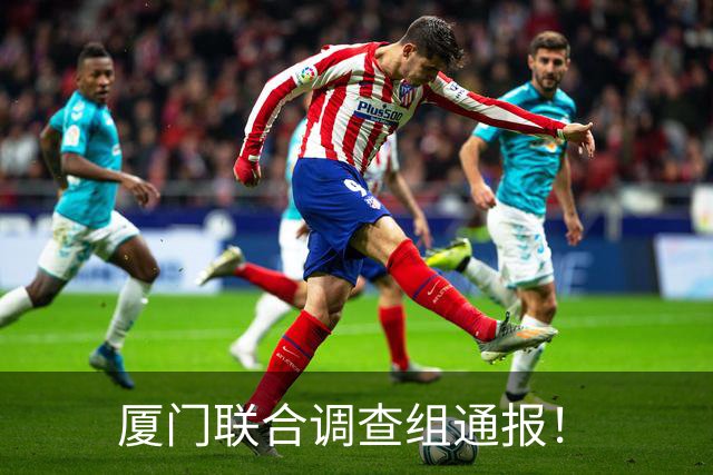 厦门联合调查组通报！