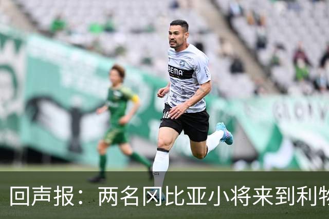 回声报：两名冈比亚小将来到利物浦试训，母队CEO亲自陪同